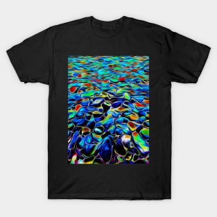 More Painted Rocks T-Shirt